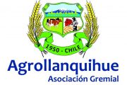 agrollanquihue 2 agrollanquihue 2
